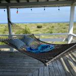 The Ocean front party house for free-wheeling drug dealers.